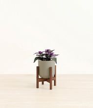 Load image into Gallery viewer, Sage Green stand:walnut