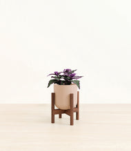 Load image into Gallery viewer, Sandy Pink stand:walnut