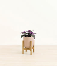 Load image into Gallery viewer, Sandy Pink stand:bamboo
