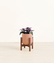Load image into Gallery viewer, Calm Rose stand:walnut
