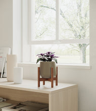 Load image into Gallery viewer, Olive stand:walnut