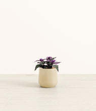 Load image into Gallery viewer, Almond Green*****Profile