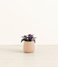 Load image into Gallery viewer, Gentle Pink*****Profile