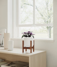 Load image into Gallery viewer, White stand:walnut