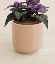 Load image into Gallery viewer, Glossy Pink stand:all