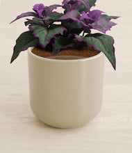 Load image into Gallery viewer, Sage Green stand:all