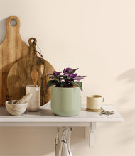 Load image into Gallery viewer, Turquoise