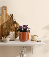 Load image into Gallery viewer, Glossy Red