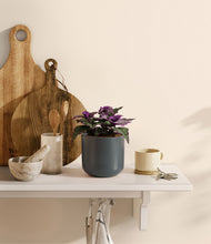 Load image into Gallery viewer, Iron Gray