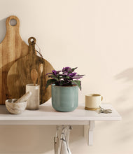 Load image into Gallery viewer, Reactive Aqua