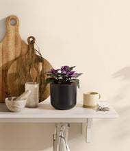 Load image into Gallery viewer, Stone Black