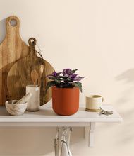 Load image into Gallery viewer, Earth Red