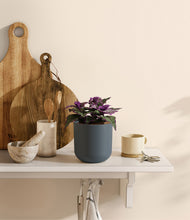 Load image into Gallery viewer, Iron Gray