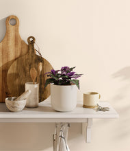 Load image into Gallery viewer, Natural Bamboo