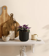 Load image into Gallery viewer, Stone Black