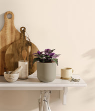 Load image into Gallery viewer, Sage Green