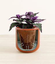 Load image into Gallery viewer, Glossy Red stand:all