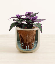 Load image into Gallery viewer, Sage Green stand:all