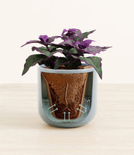 Load image into Gallery viewer, Misty Blue stand:all