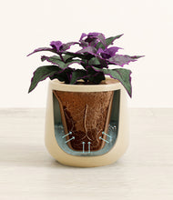 Load image into Gallery viewer, Almond Green stand:all