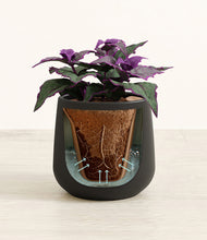 Load image into Gallery viewer, Black stand:all