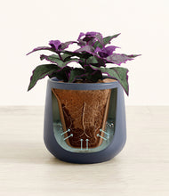 Load image into Gallery viewer, Deep Navy stand:all