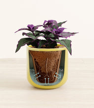 Load image into Gallery viewer, Key Lime Yellow stand:all