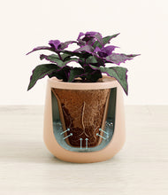 Load image into Gallery viewer, Gentle Pink stand:all