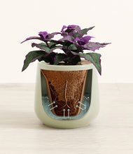 Load image into Gallery viewer, Turquoise stand:all