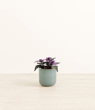 Load image into Gallery viewer, Reactive Aqua*****Profile