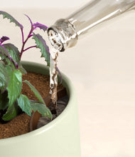 Load image into Gallery viewer, Turquoise stand:all