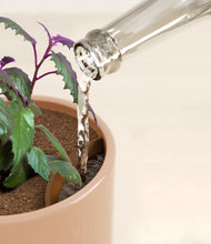 Load image into Gallery viewer, Glossy Pink stand:all