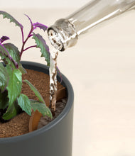 Load image into Gallery viewer, Iron Gray stand:all