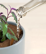 Load image into Gallery viewer, Misty Blue stand:all