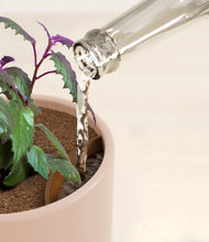 Load image into Gallery viewer, Sandy Pink stand:all