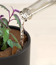 Load image into Gallery viewer, Stone Black stand:all