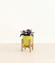 Load image into Gallery viewer, Key Lime Yellow stand:bamboo