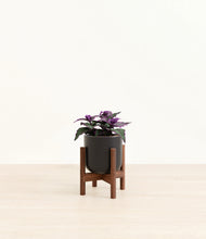 Load image into Gallery viewer, Stone Black stand:walnut