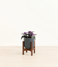 Load image into Gallery viewer, Iron Gray stand:walnut