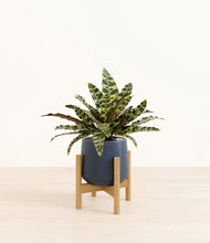 Load image into Gallery viewer, Deep Navy stand:bamboo