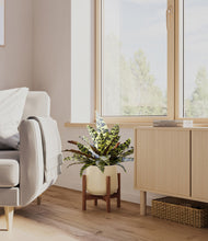 Load image into Gallery viewer, Almond Green stand:walnut