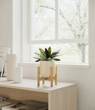 Load image into Gallery viewer, Almond Green stand:bamboo