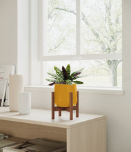 Load image into Gallery viewer, Mustard stand:walnut