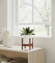 Load image into Gallery viewer, White stand:walnut