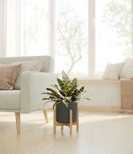 Load image into Gallery viewer, Dark Olive stand:bamboo