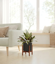 Load image into Gallery viewer, Black stand:walnut