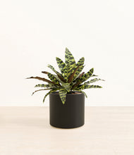 Load image into Gallery viewer, Black*****Profile