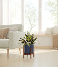 Load image into Gallery viewer, Deep Navy stand:walnut