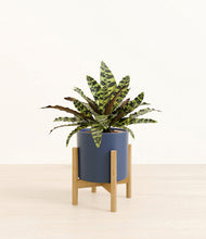 Load image into Gallery viewer, Deep Navy stand:bamboo