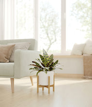 Load image into Gallery viewer, White stand:bamboo